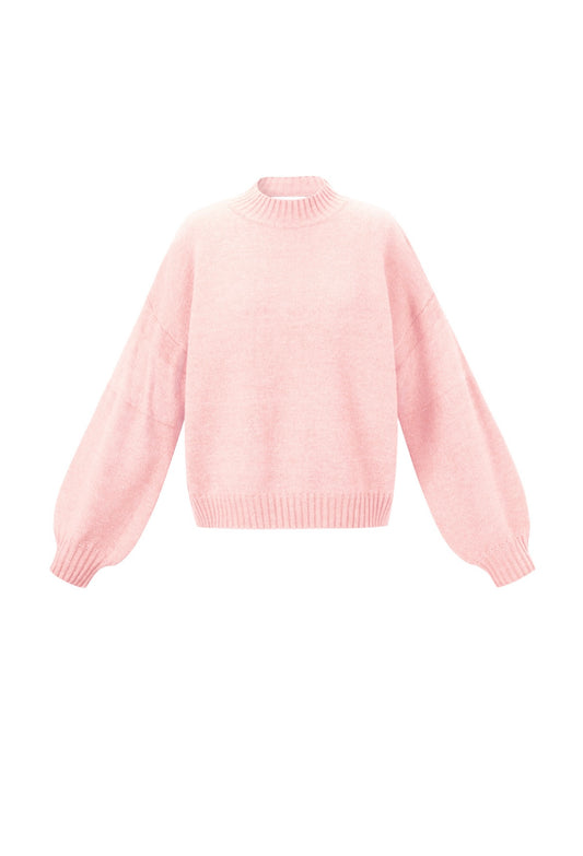 Roze trui Paris